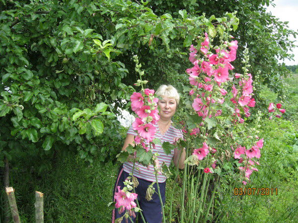 Светлана Морозова