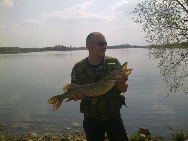 Андрей Жмуро