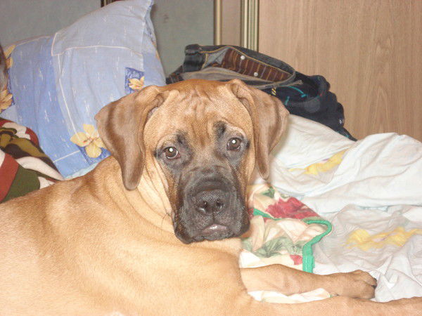 Классная Полли !!!!!!!!!!