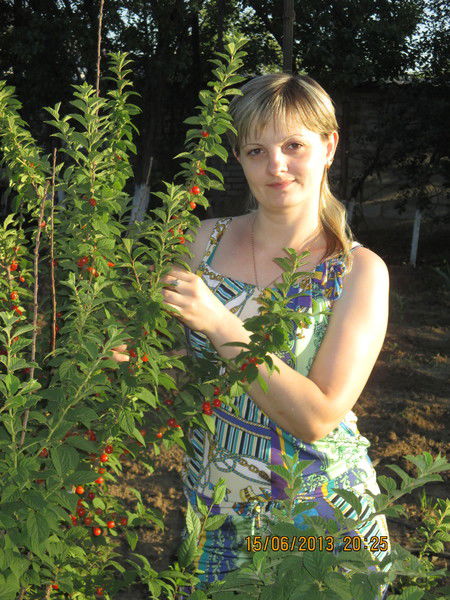 Елена Ломакина