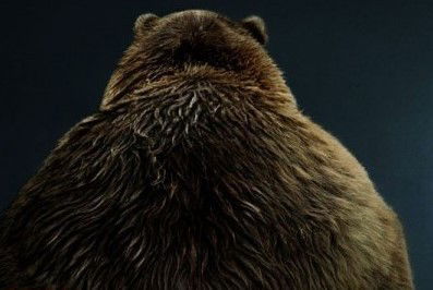 Сергей Михайлов