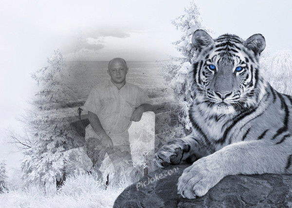 Андрей Тонких