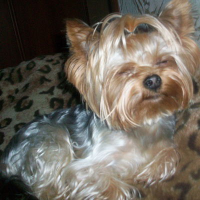 Ирина Шалыгина-Качалова