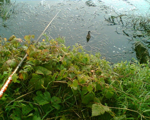 Владимир Апошнянский