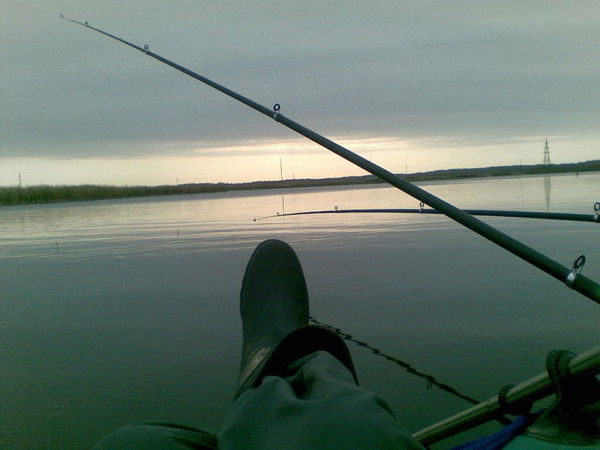 Дмитрий Сергеевич