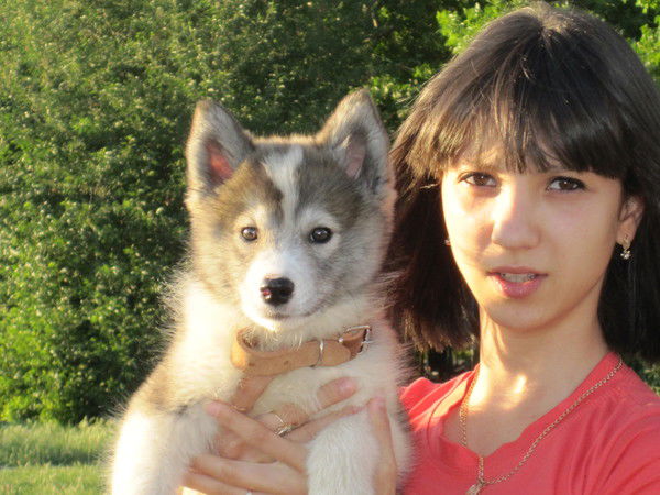 Анастасия Арбузова