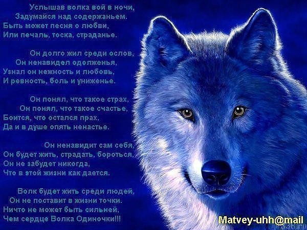 Павел Чистяков