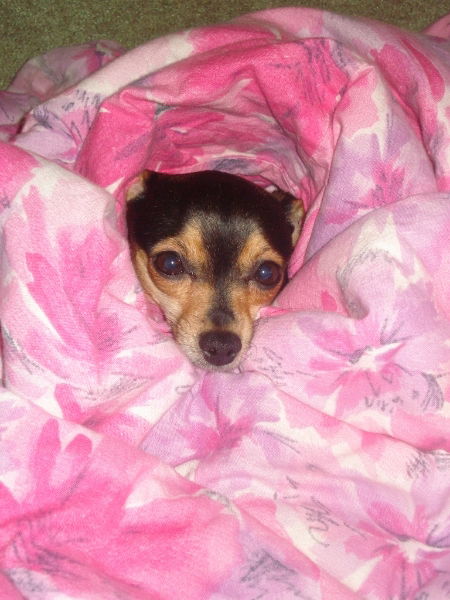 Юлия Романко