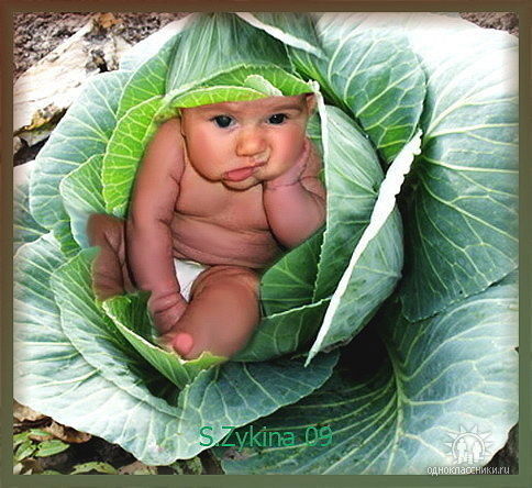 Катюша Алексеенко