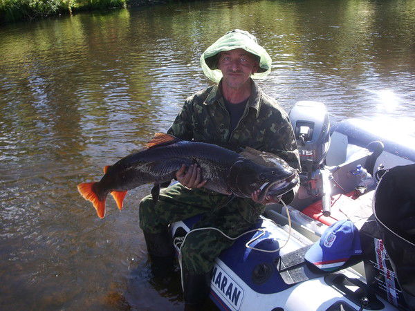 Владимир ...