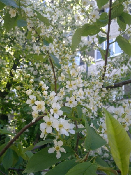 Неизвестно ///////