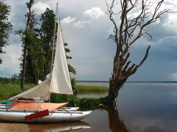 Владимир Смирнов