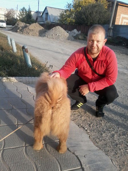 Евгений Цыбенко