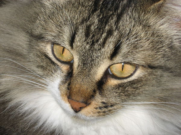 Наталия Кулагина