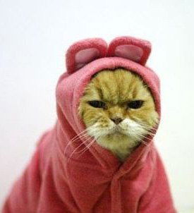 Ольга Морозова