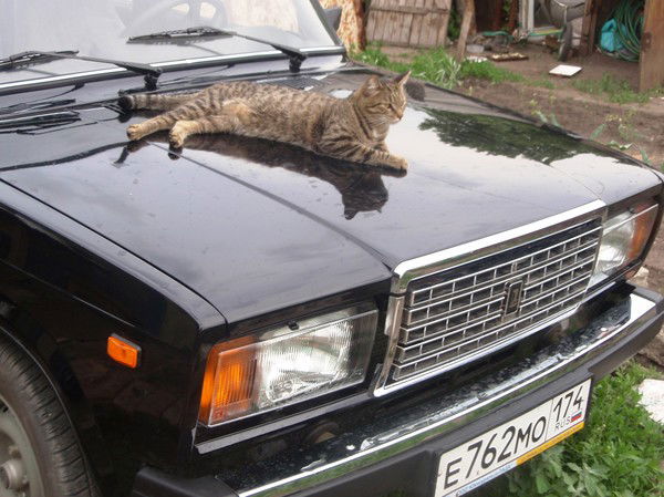 Иван Коняев