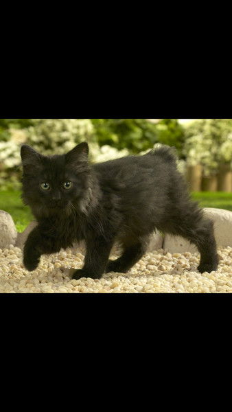 Наталья Мануляк