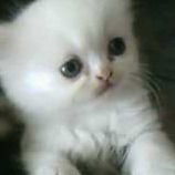 Надежда Федюхина