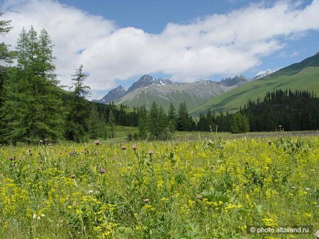 Альберт Бикмеев