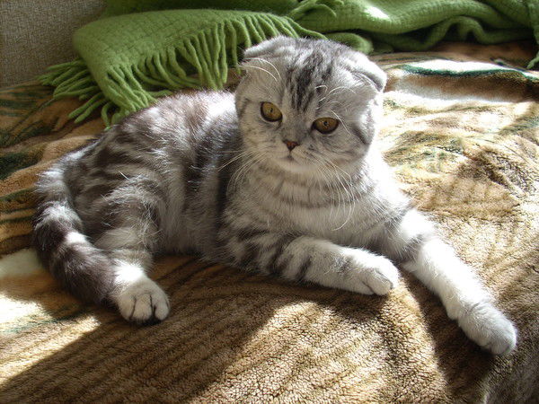 Евгения Поротикова