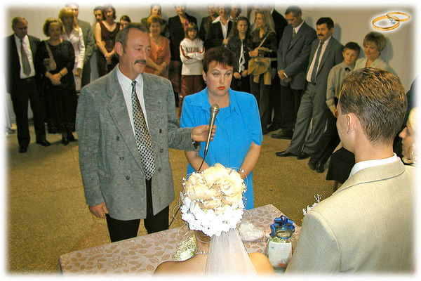 Александр Горник