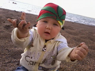 Елена Павлова