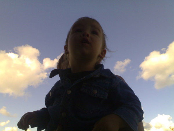 Владимир Мосин