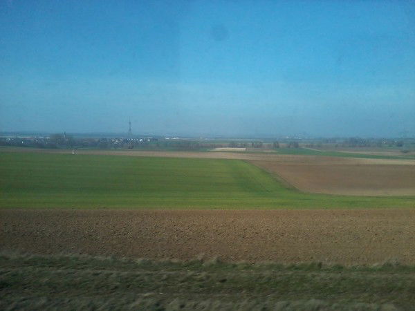 Сергей Греков