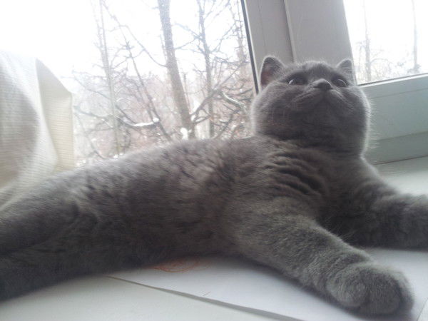 Зинаида Авдонина