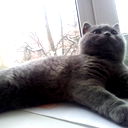 Зинаида Авдонина