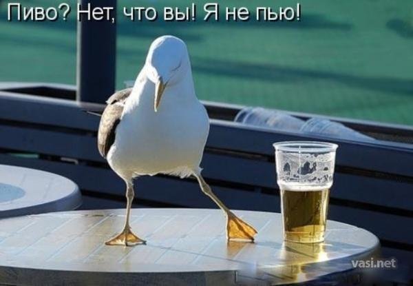 Людмила Имамова