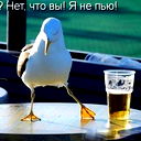 Людмила Имамова