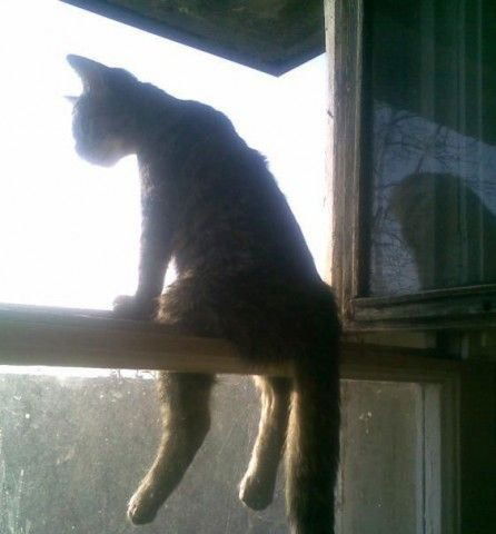 Алексей ******