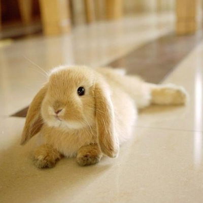 Наталья Александрова