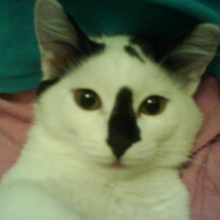 Наталья Ефремова