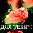 Алевтина Прудникова