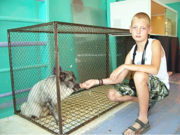 Ваня Вахрин