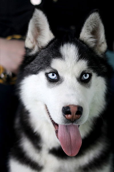 Екатерина Гребенюк