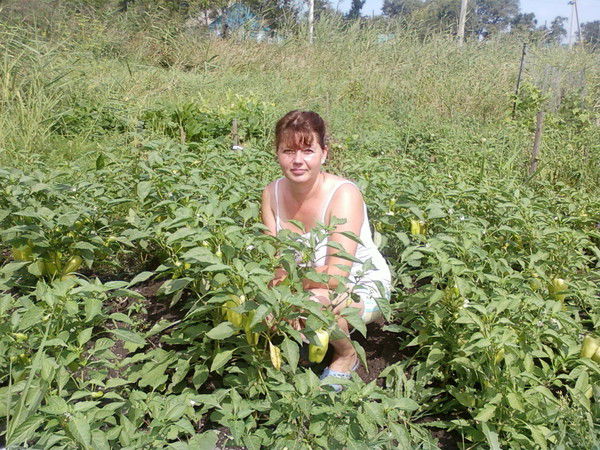 Светлана Дашкевич