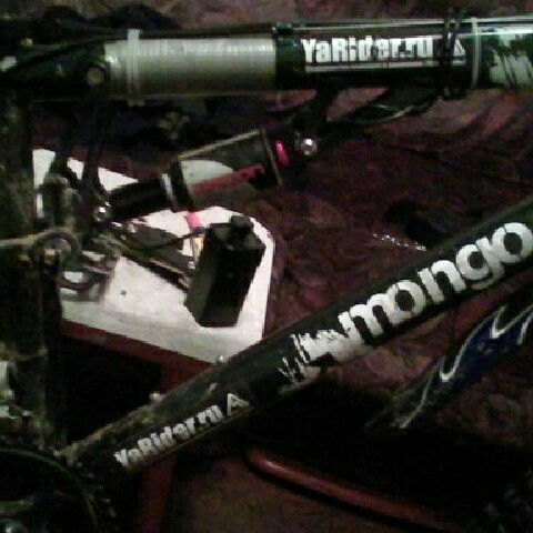 Сергей Шевченко