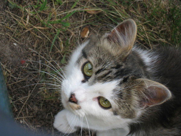 Геннадий Андреев