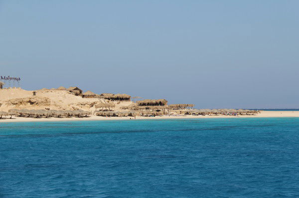 Дмитрий Федотов