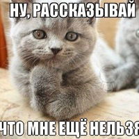 Кристина Литвинова