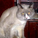 Дмитрий Корпляков