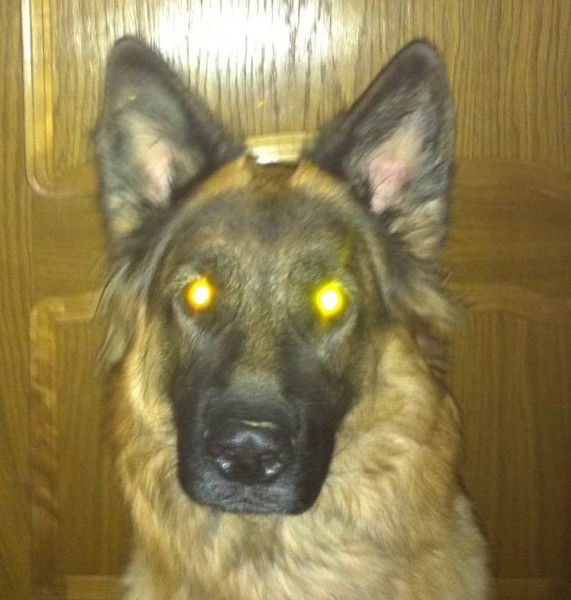 Милана Романова