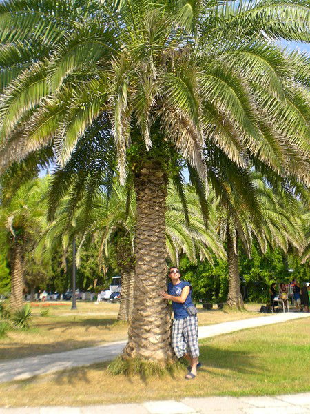 Вадим Иванушкин