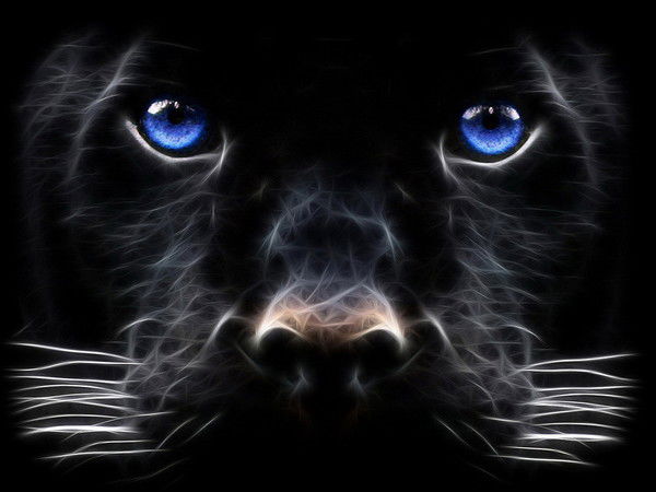 Марина Брюханова