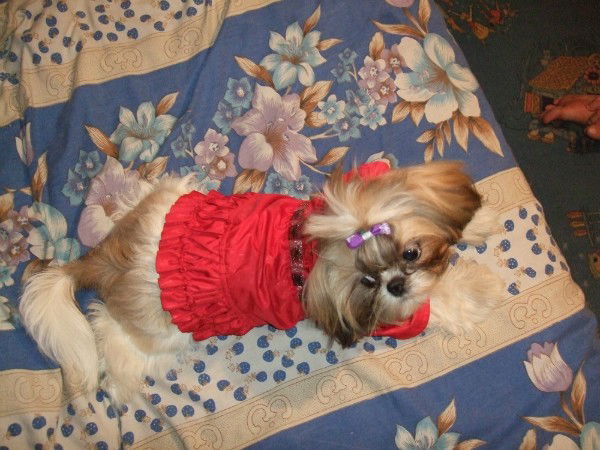 Ланачка! ...........