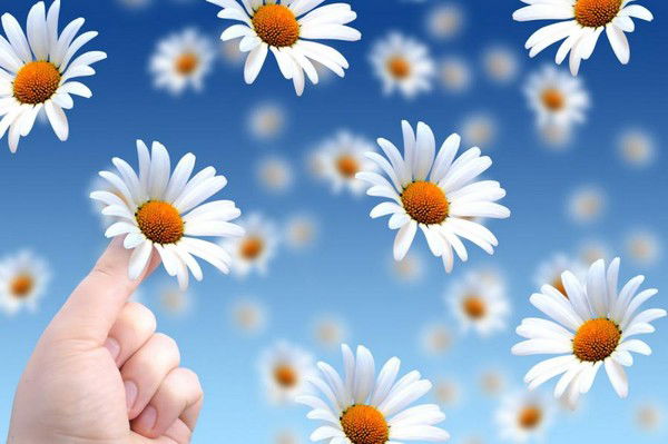 Ксения Круч