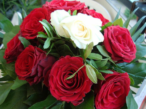 Анна Лаубган